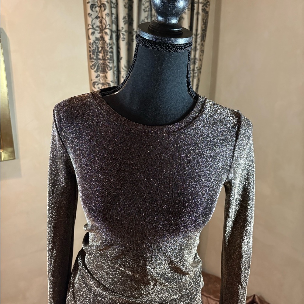 Express Metallic Long Sleeve Top